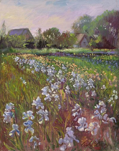 White Irises and Farmstead by Timothy Easton